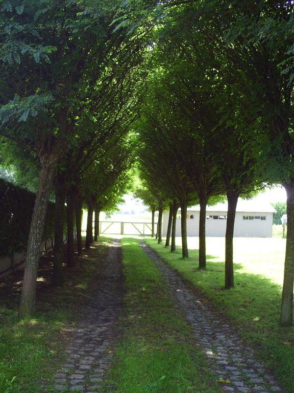 Apartment Capitalcondos Ninove Δωμάτιο φωτογραφία
